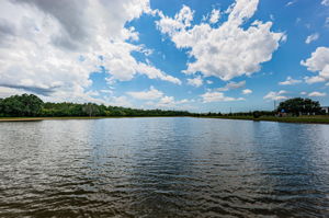 Walking Trail and Water View6