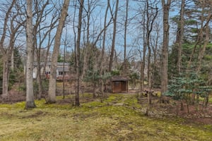 Beechwood Rd-S1203-088.jpg