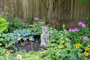  Photo 46