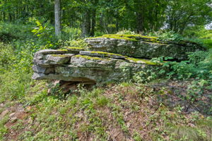  Photo 32