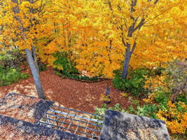  Photo 47