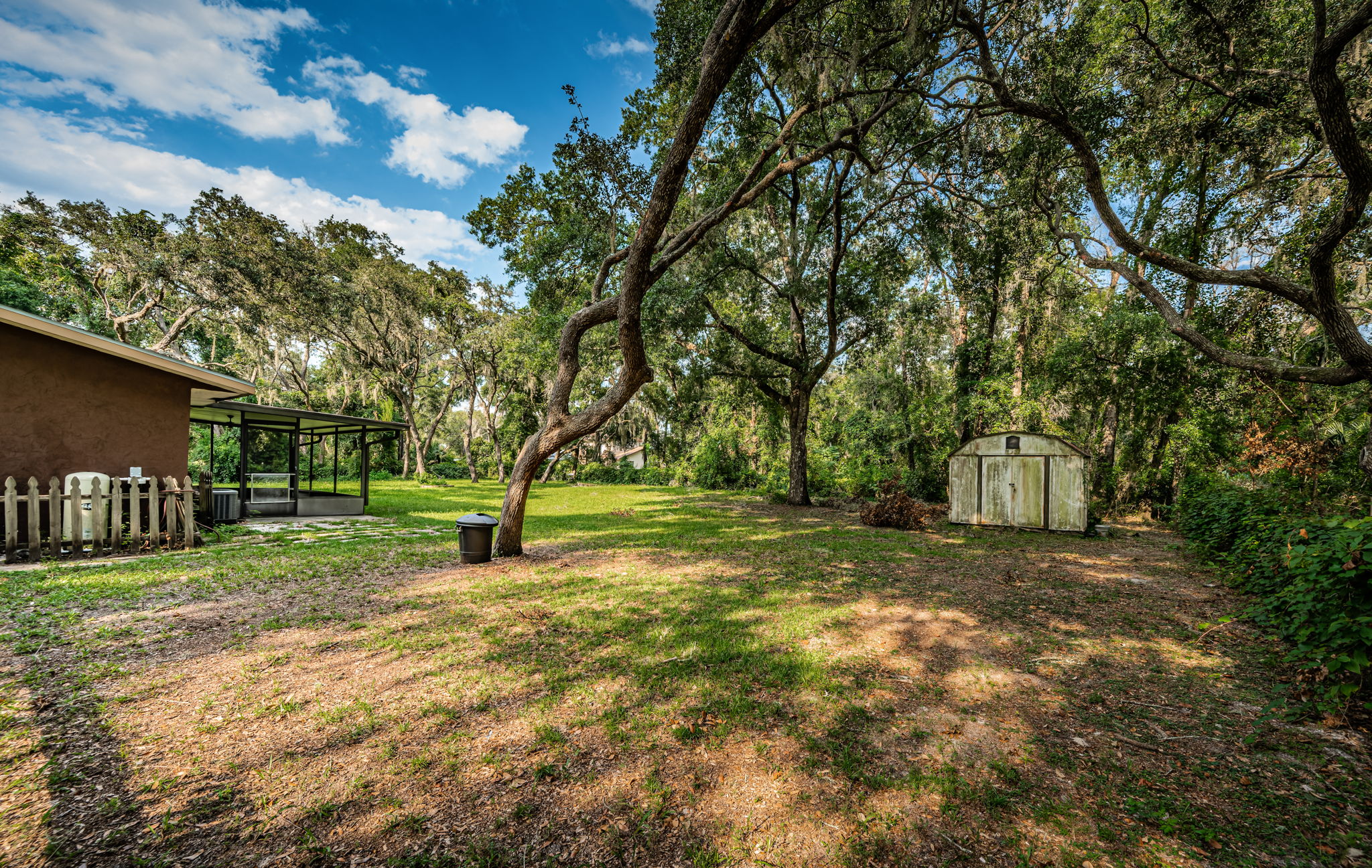 Backyard1-3