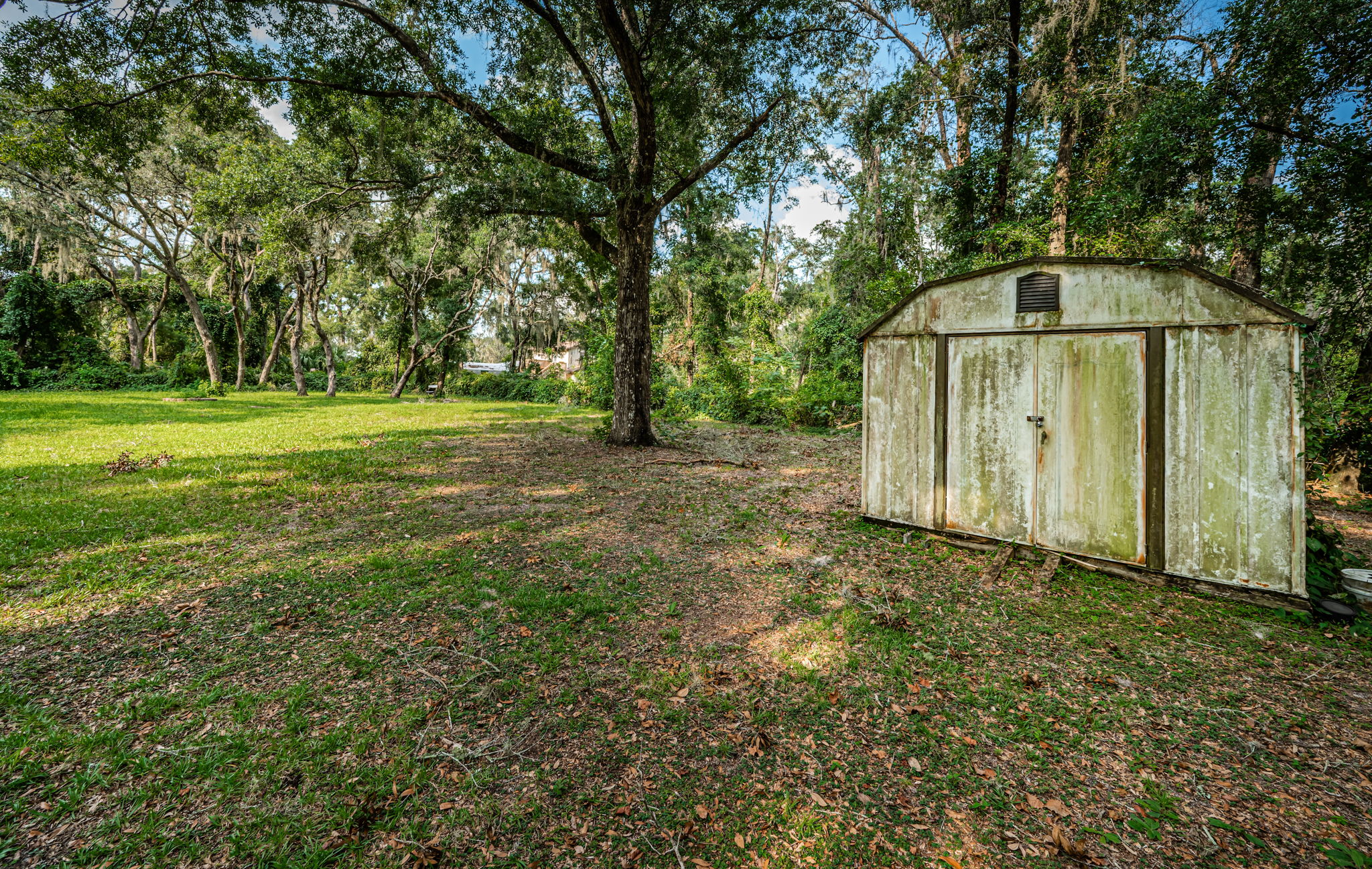 Backyard2-3
