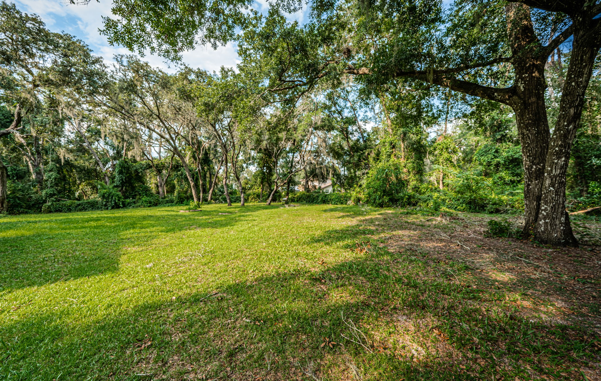 Backyard3-3