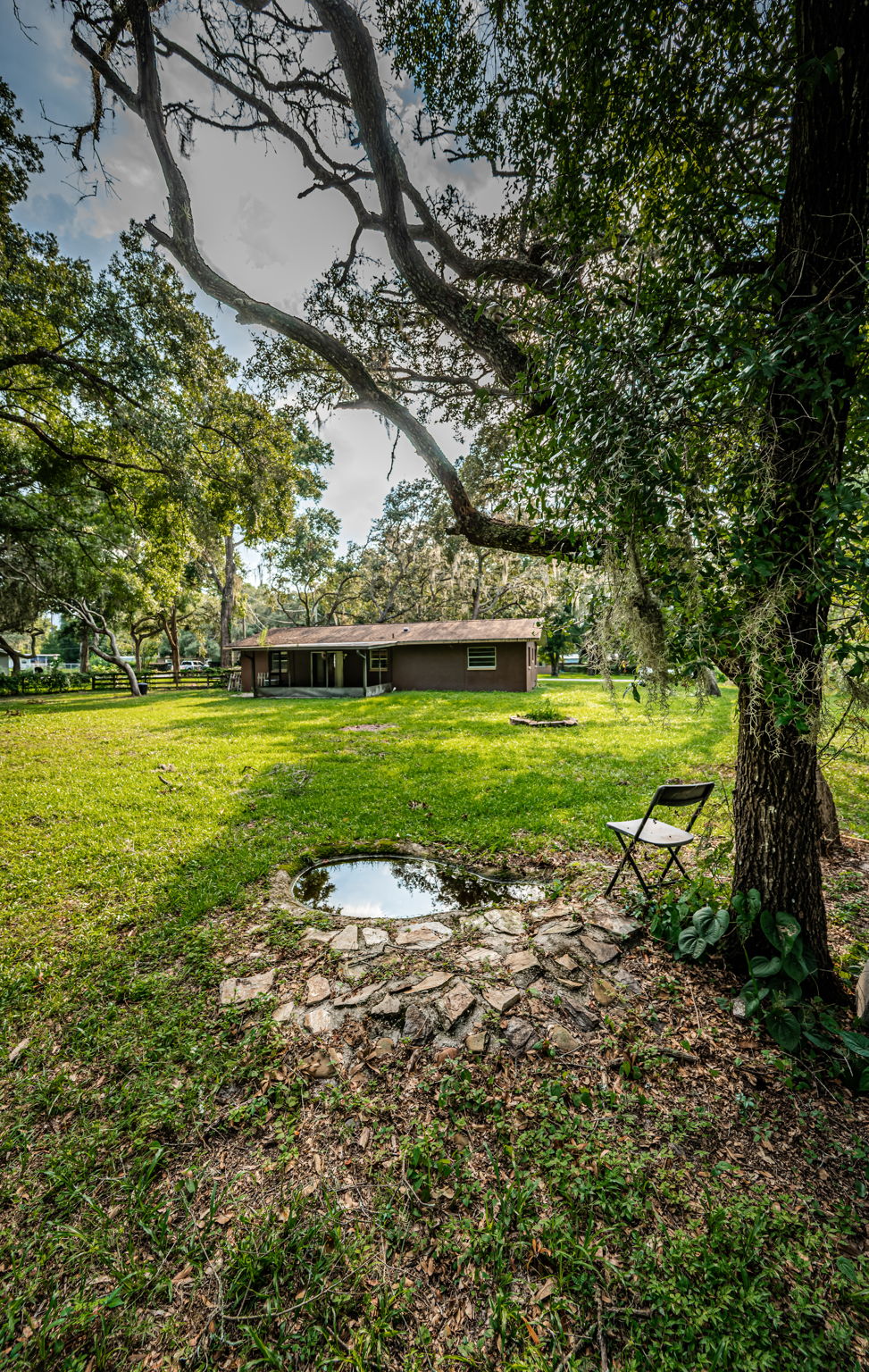 Backyard8-2