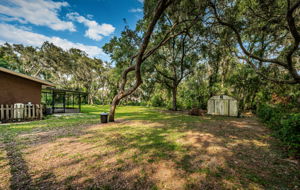 Backyard1-3
