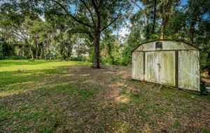 Backyard2-3