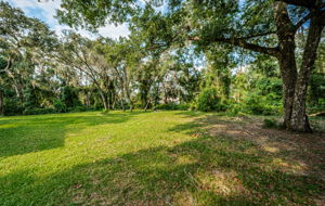 Backyard3-3