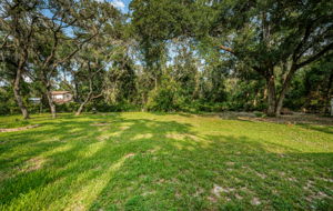 Backyard14
