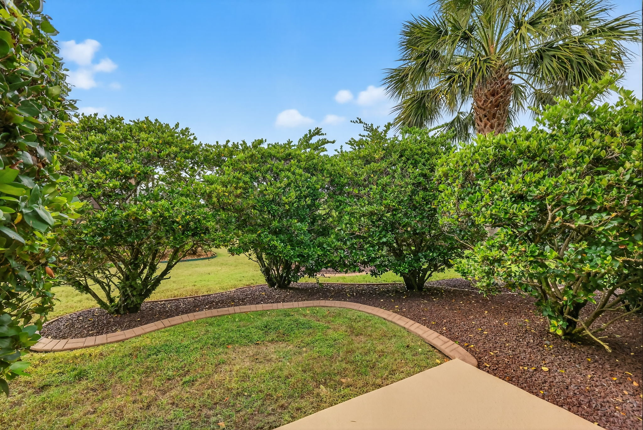 Mature Privacy Landscaping