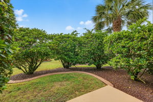 Mature Privacy Landscaping