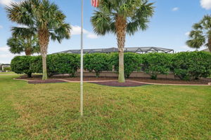 Rear Yard with Mature Privacy Landscaping