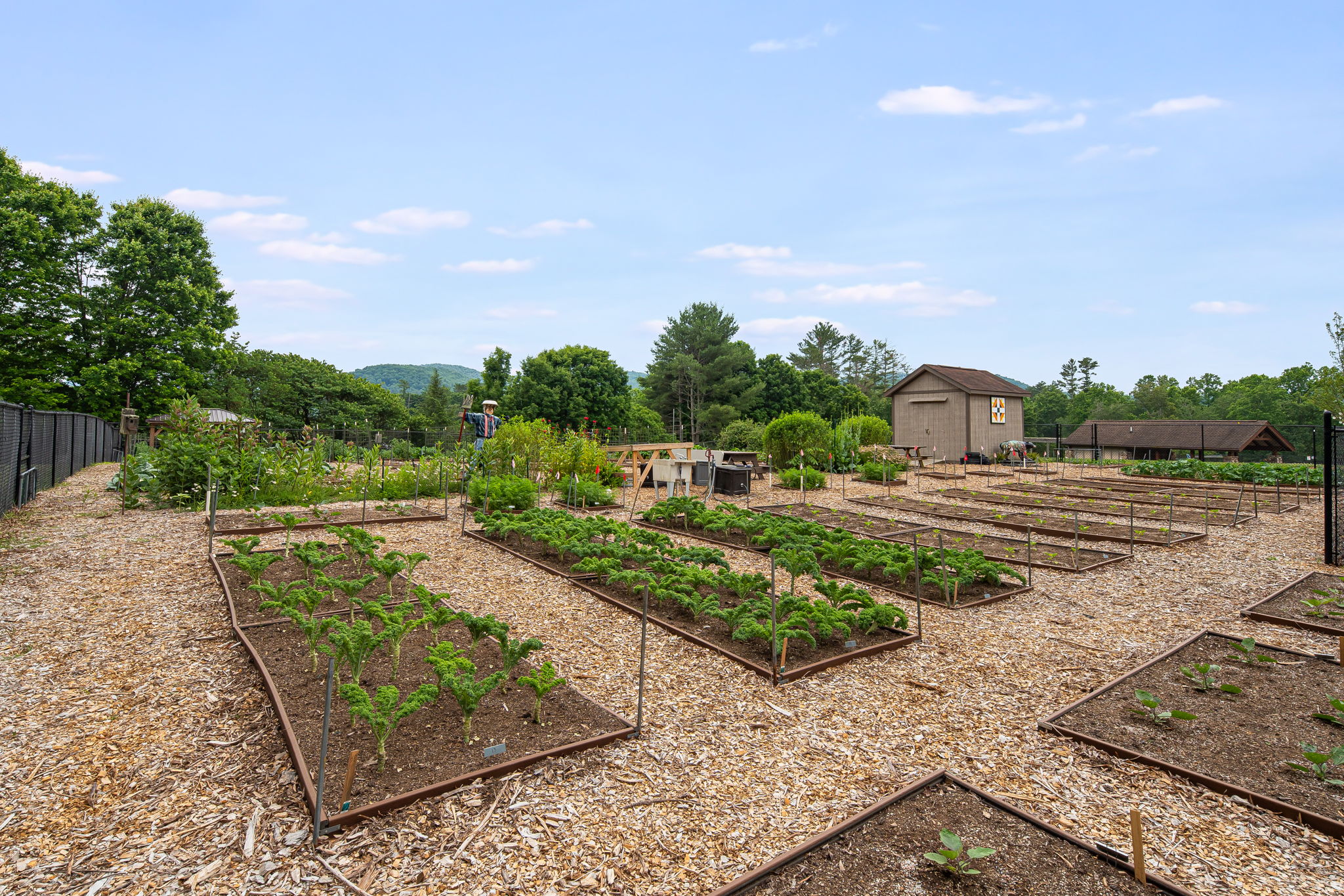 Community garden