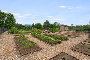 Community garden