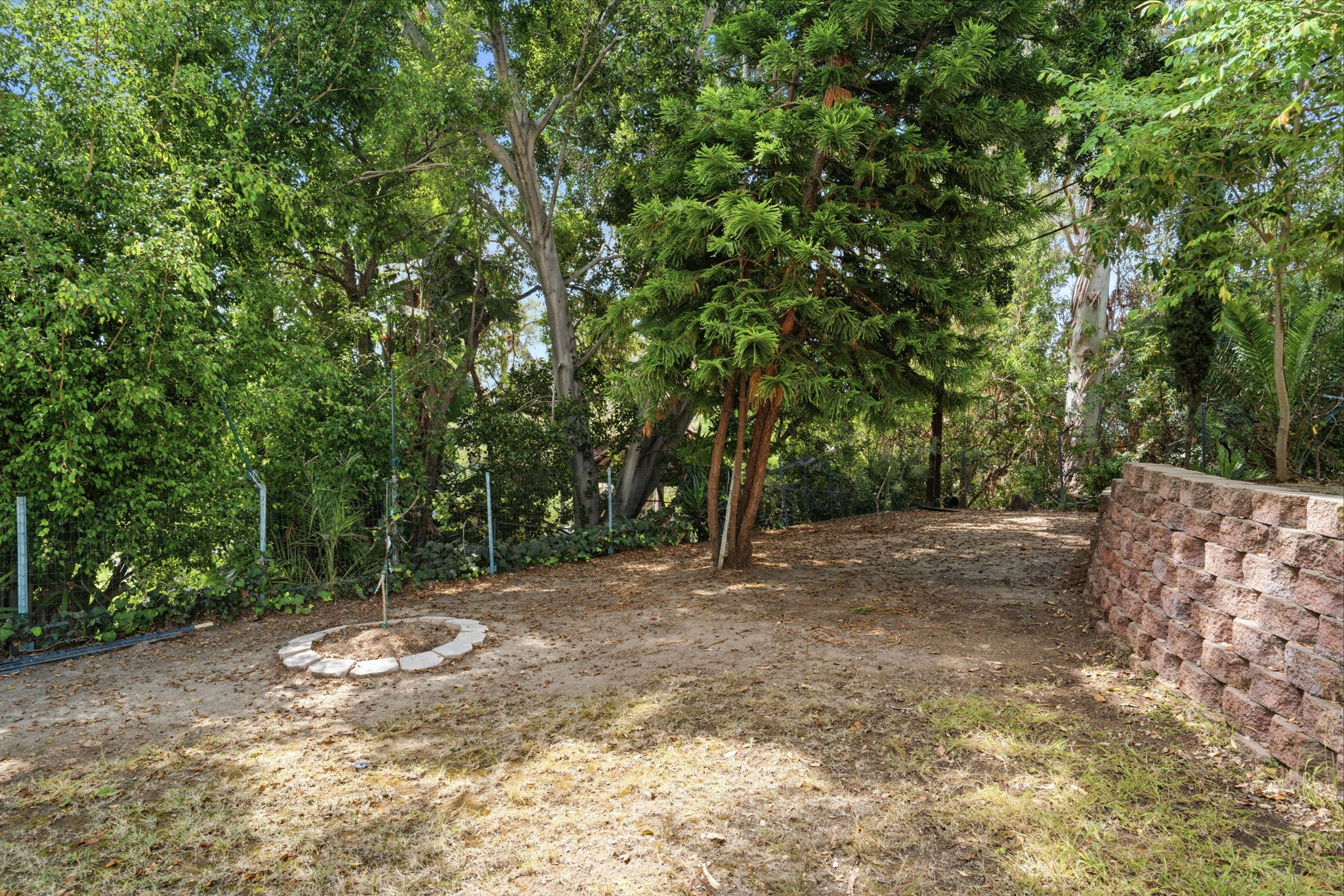  Photo 47