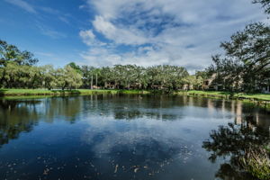 Community Pool Water View
