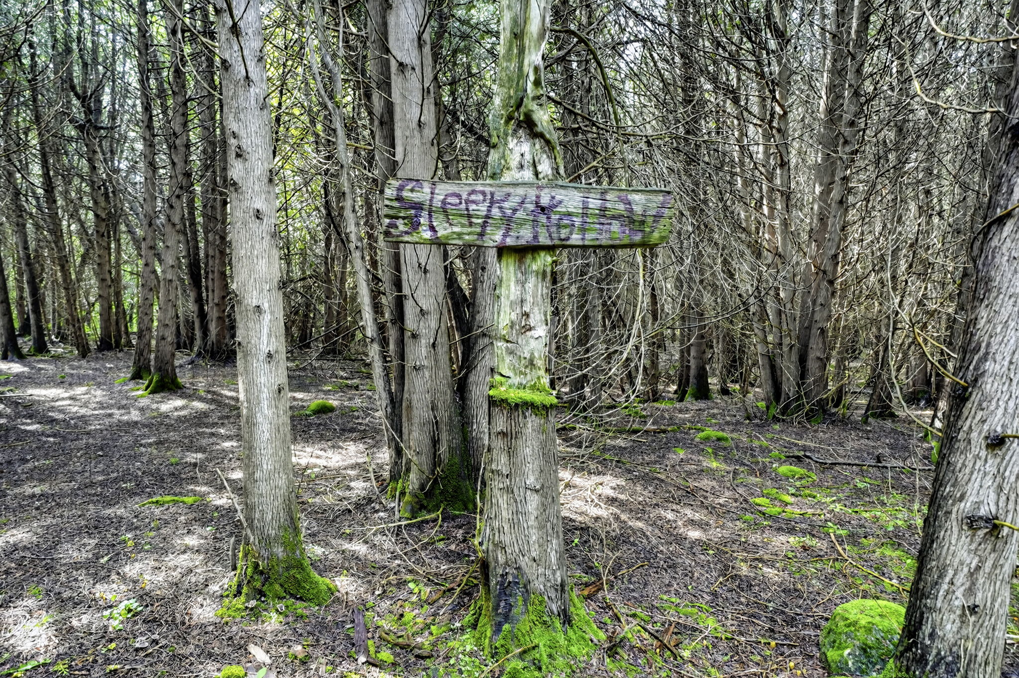  Photo 60