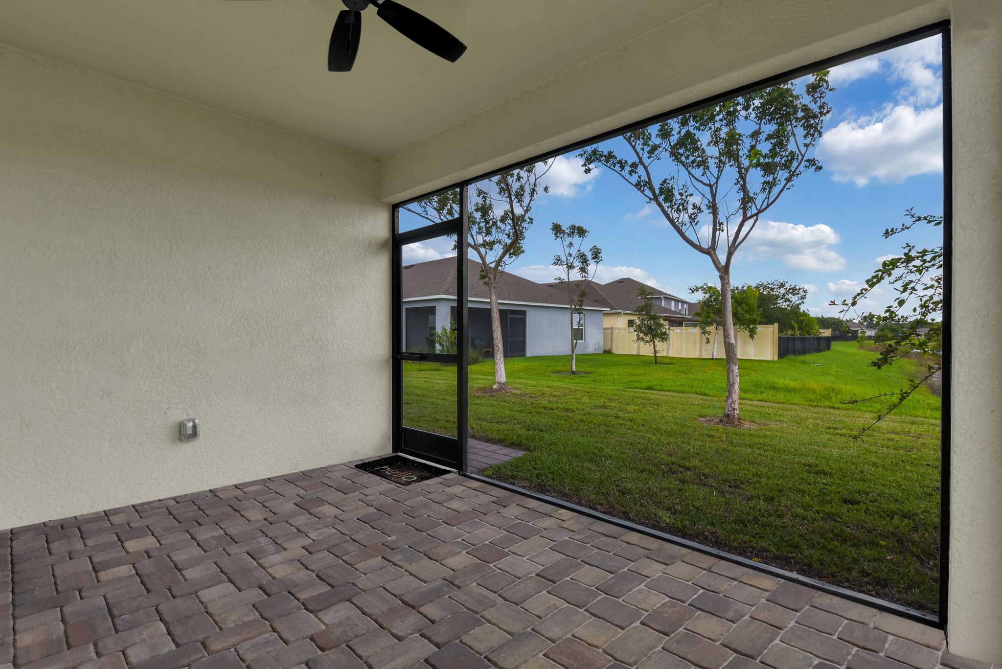 Picture Window Screen