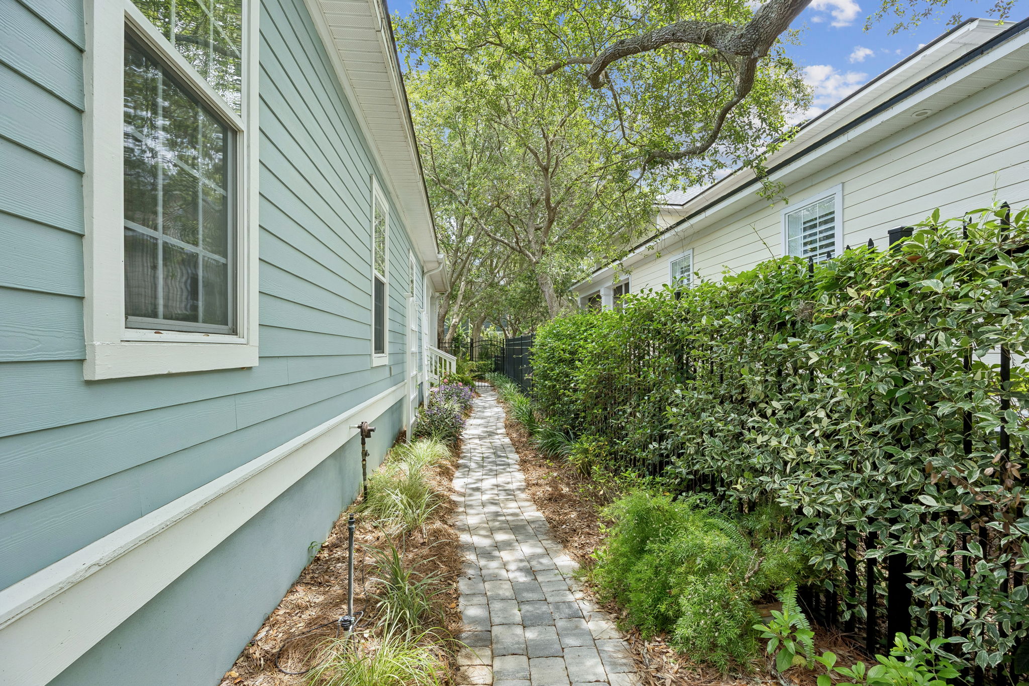 Side Yard
