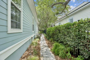 Side Yard