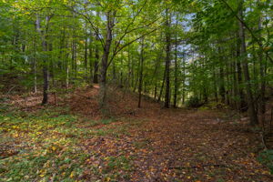  Photo 52