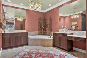 Primary Bathroom 1 of 4