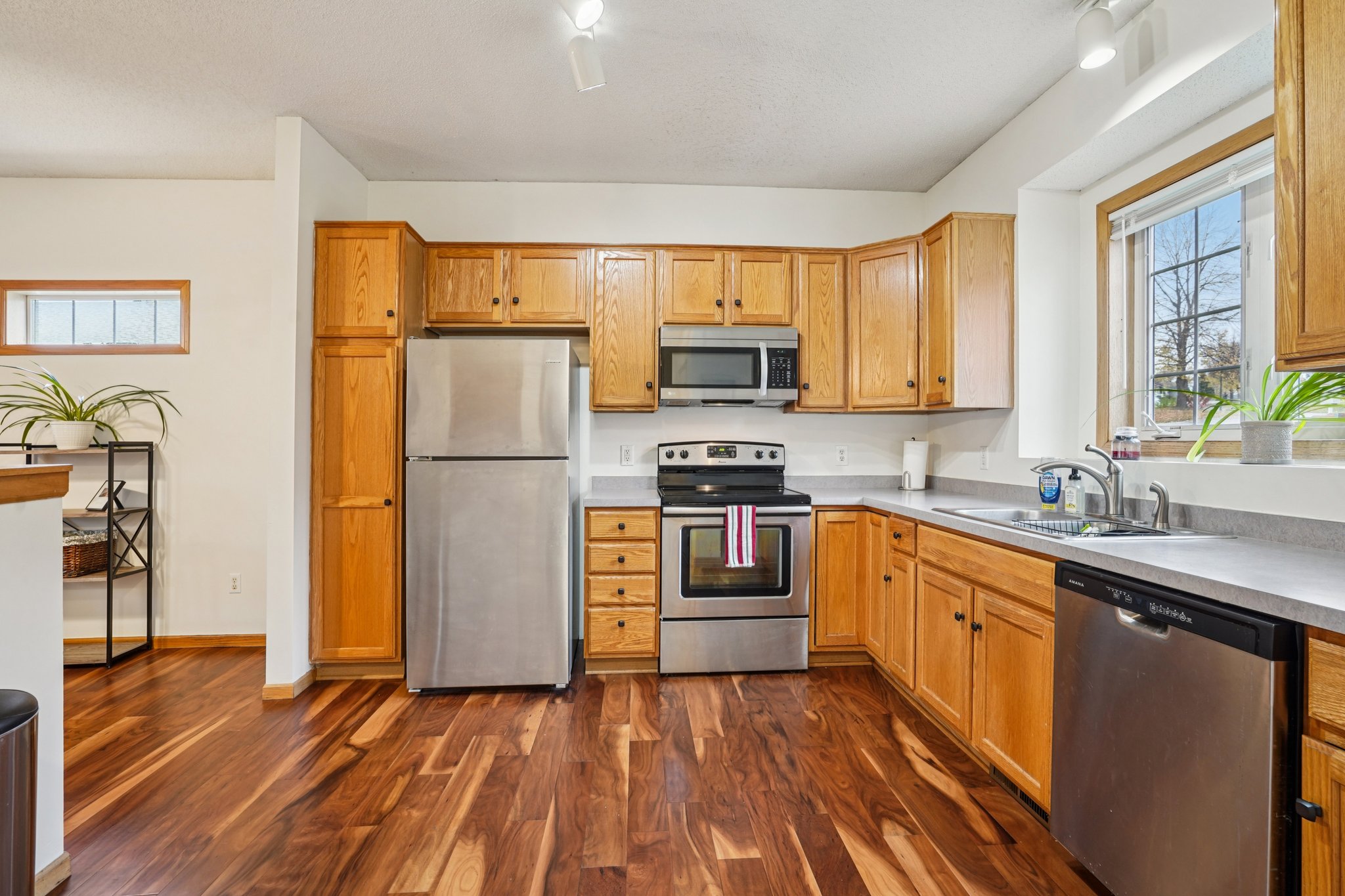 Euclid Path-S0811-013.jpg