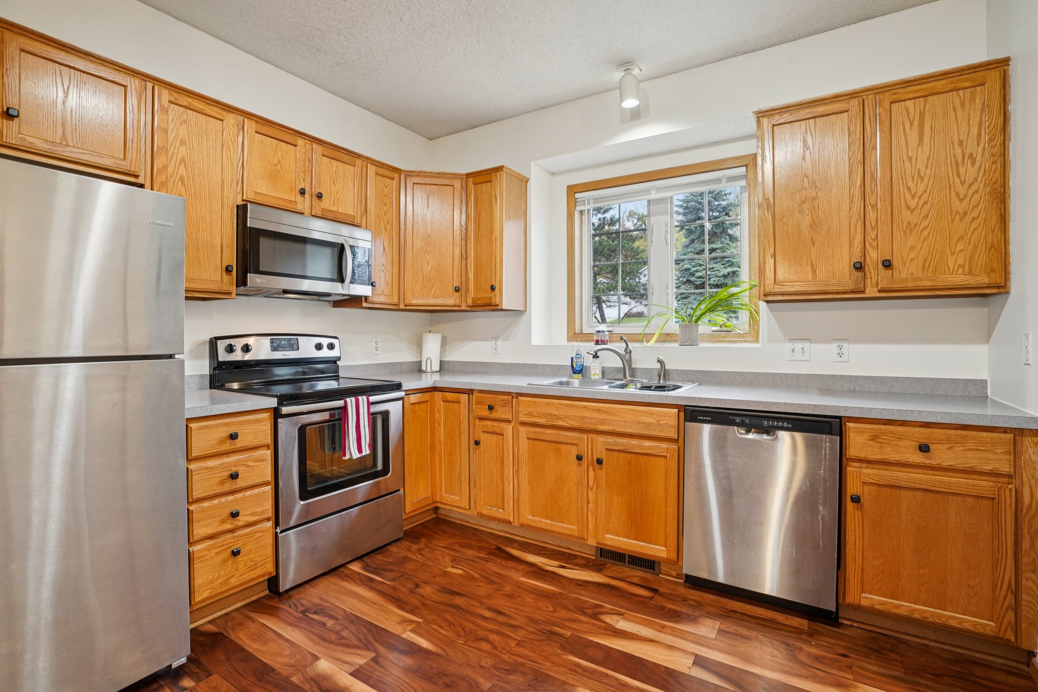 Euclid Path-S0811-017.jpg