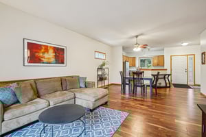 Euclid Path-S0811-006.jpg