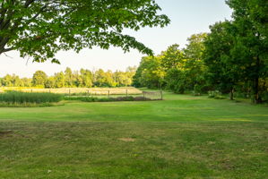  Photo 49