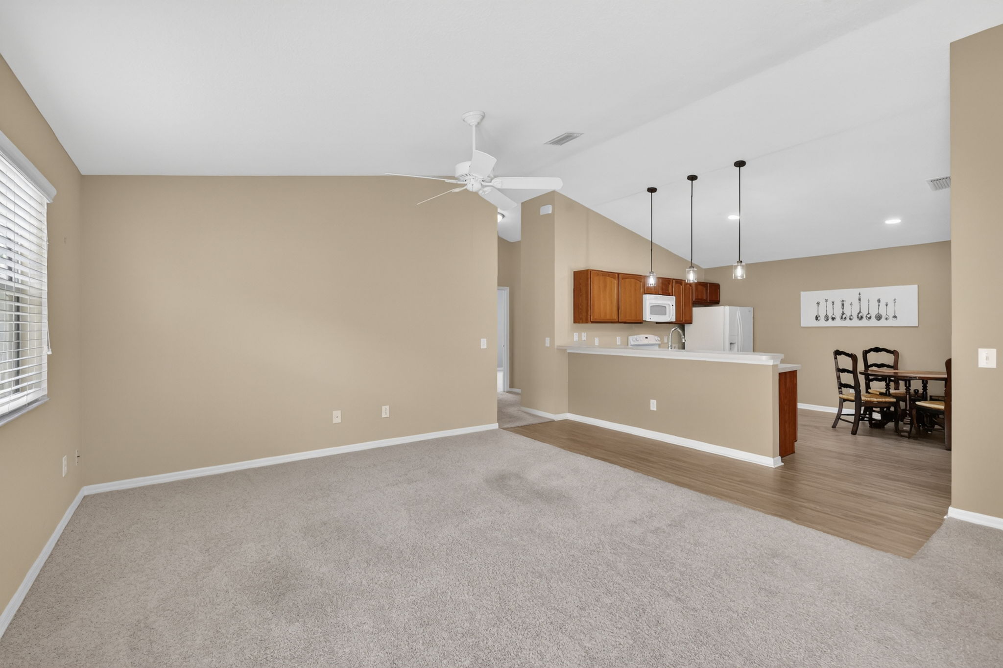Living Room and Kitchen