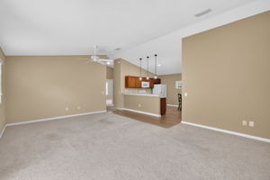 Living Room and Kitchen