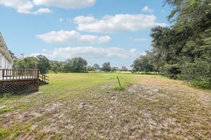 Belvedere Rd-S2509-039.jpg