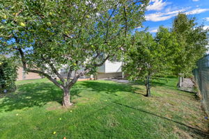  Photo 49