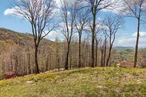 Cottage Ln-S2404-062.jpg