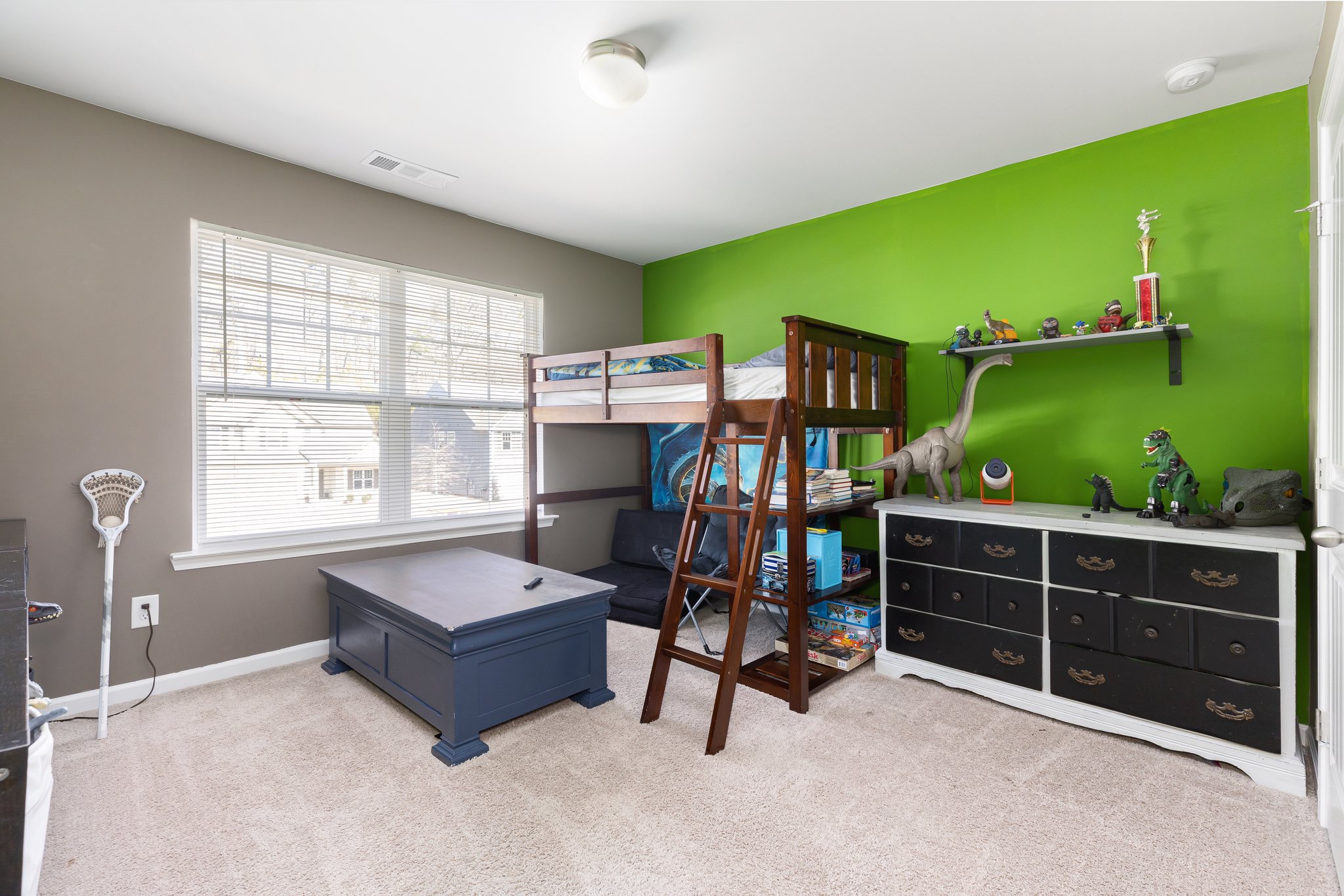 186 Pinnacle Point Ct, Dallas, GA 30132, USA Photo 29