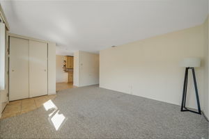 Living Room/Entry Closet