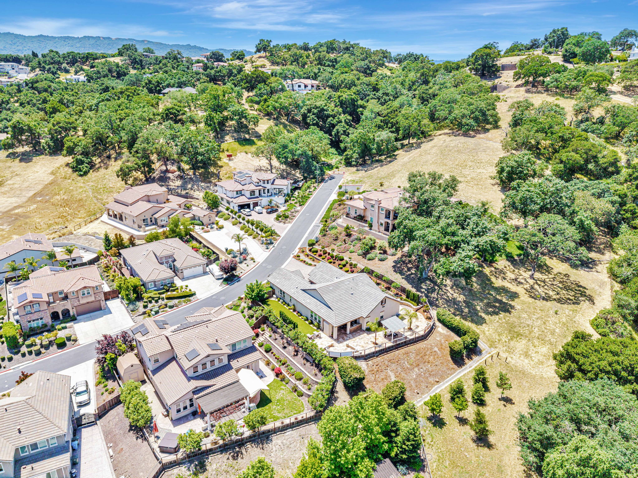 020_AERIAL_ 1861 Carob Ct_