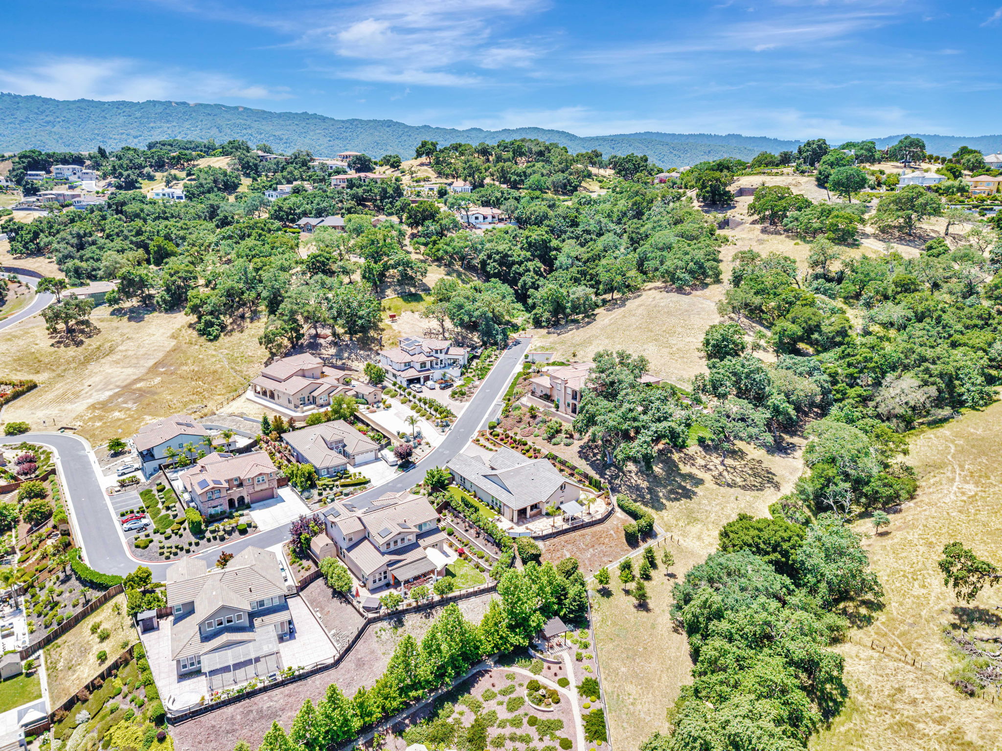 021_AERIAL_ 1861 Carob Ct_