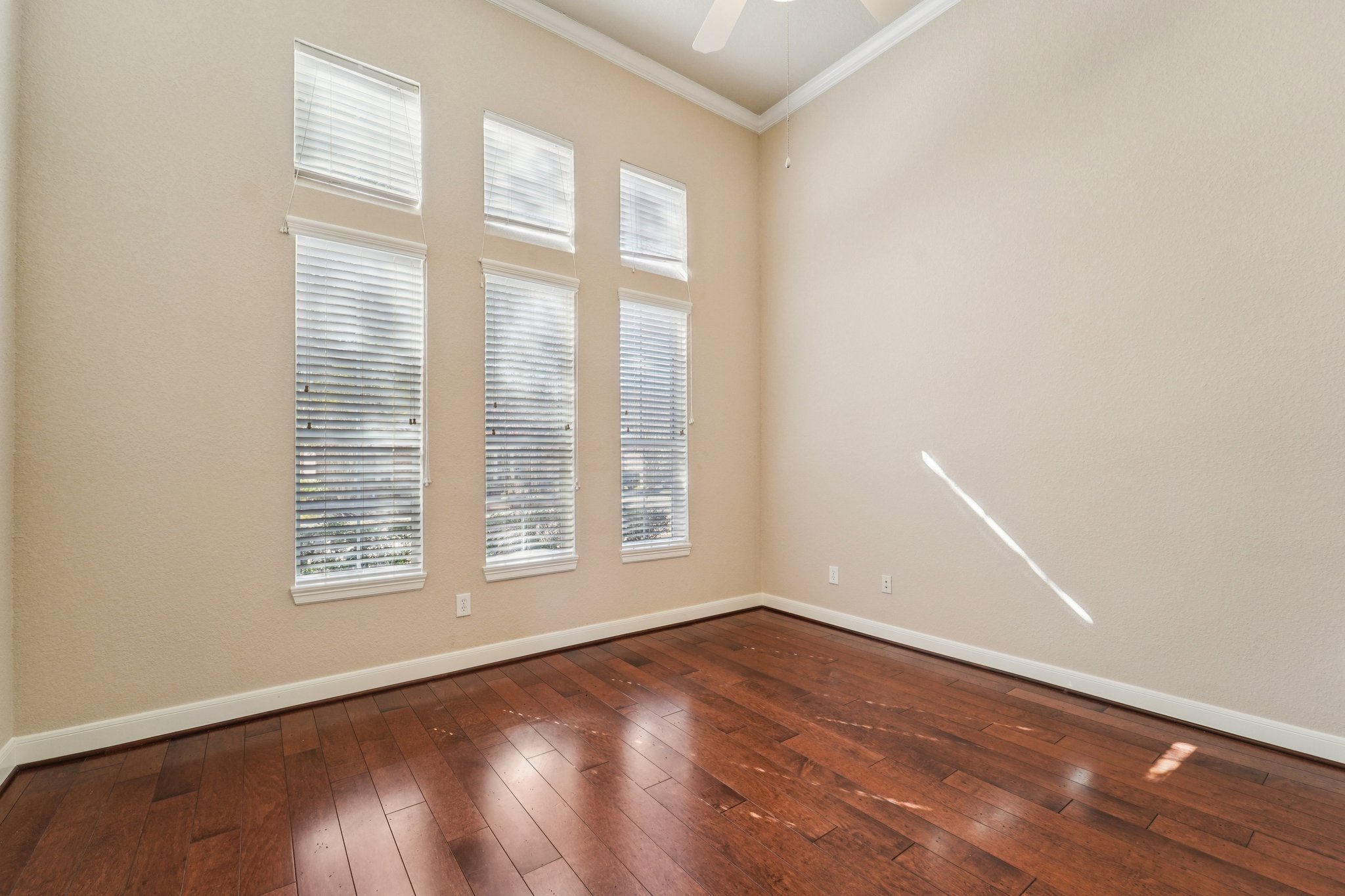 Partners Voice Dr-L0702-017.jpg