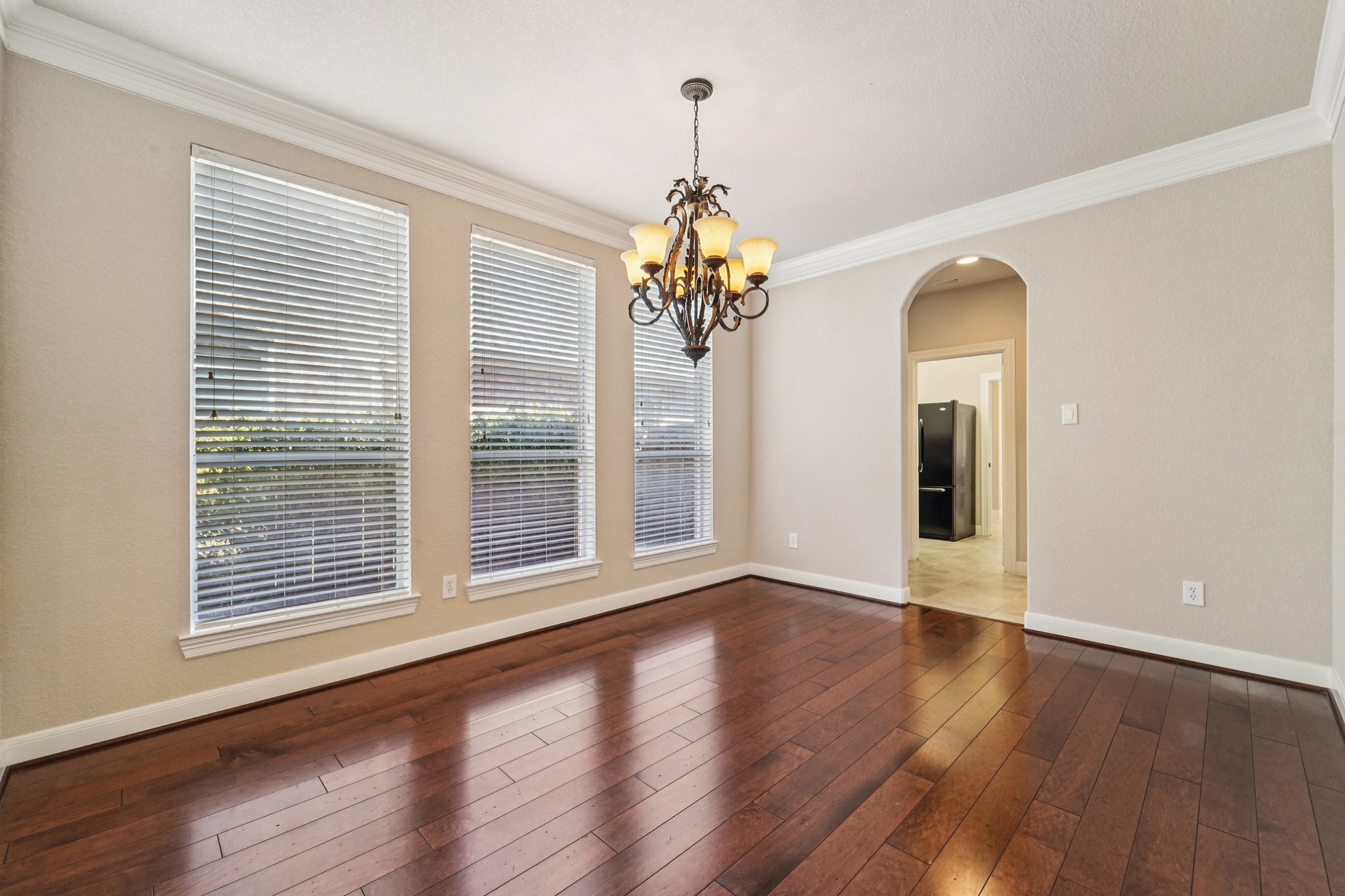 Partners Voice Dr-L0702-020.jpg