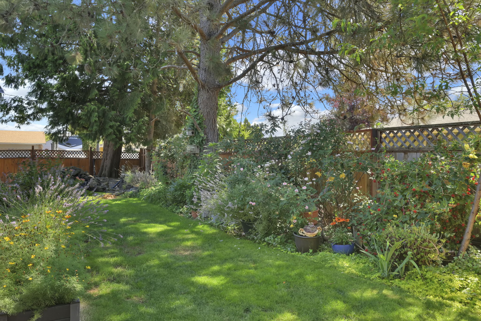  Photo 45