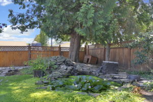  Photo 39