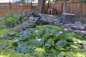  Photo 40