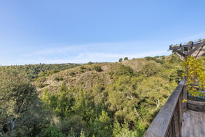  Photo 50