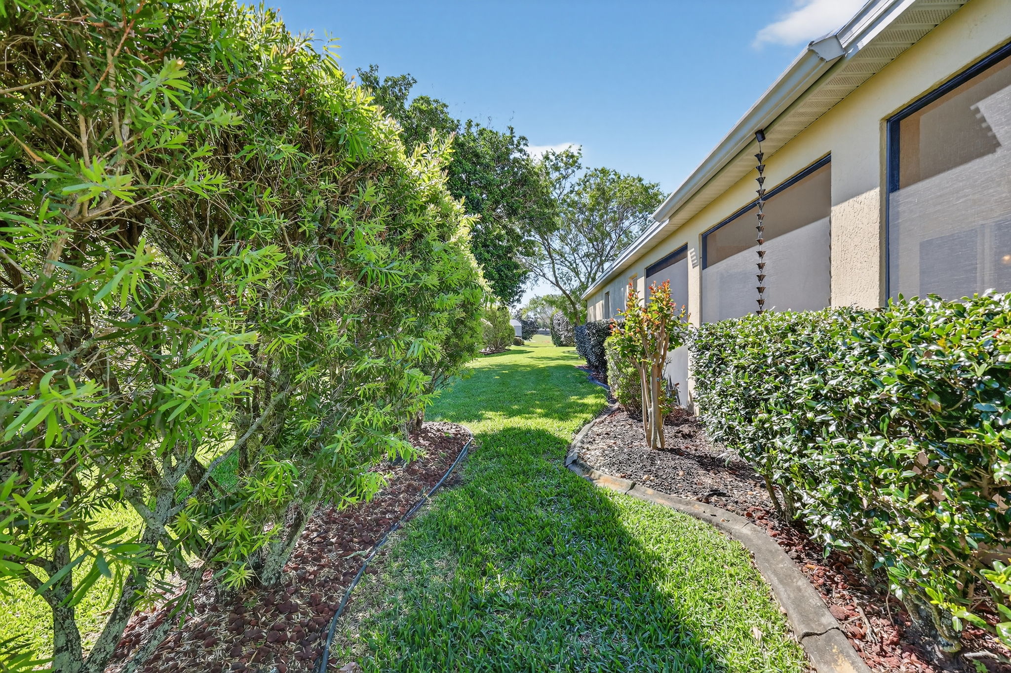 Rear Privacy Landscaping