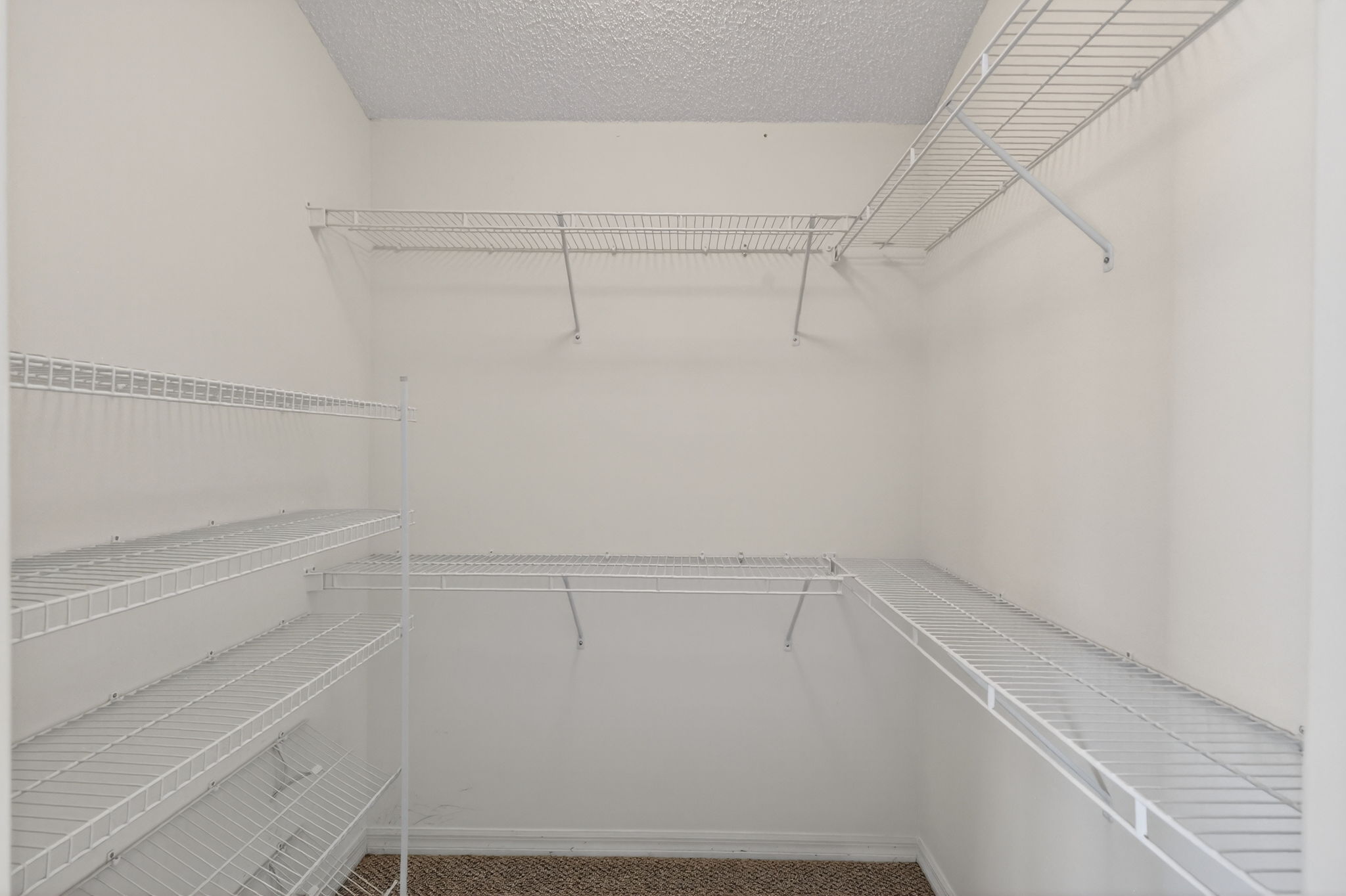 Primary Bedroom Walk-In Closet