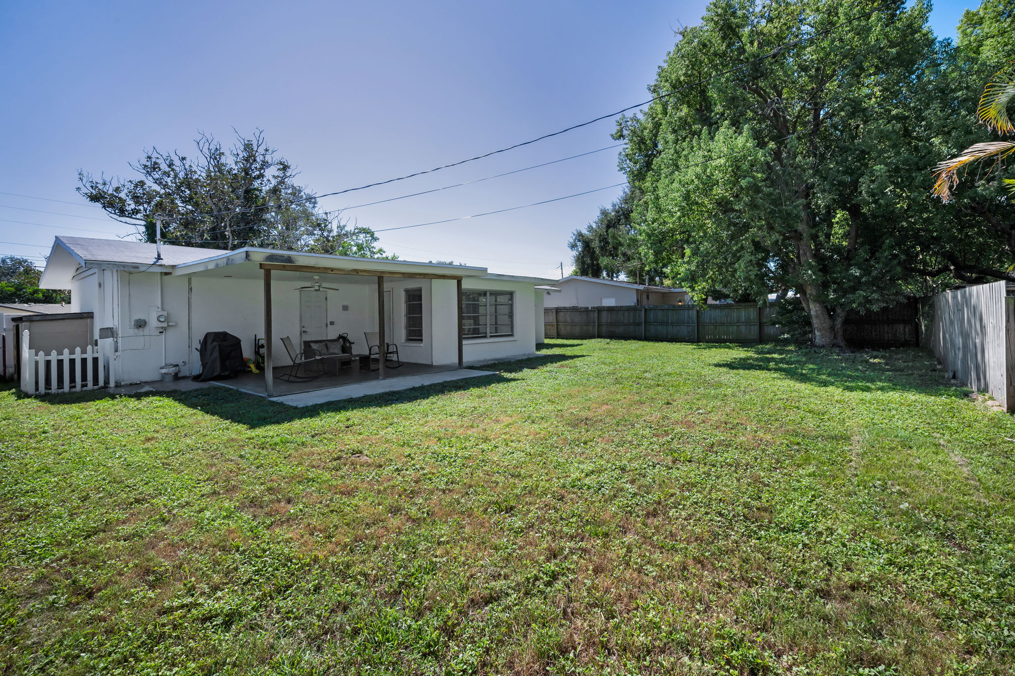 Backyard2