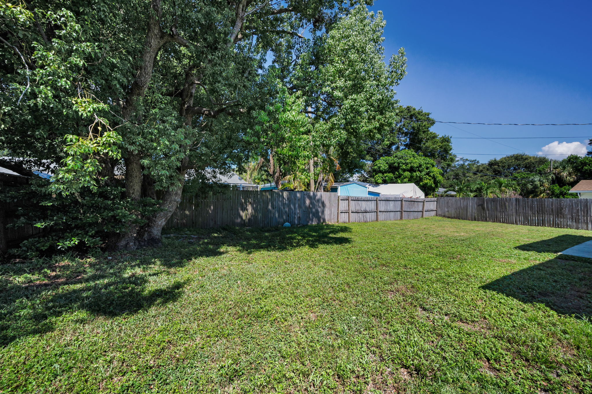 Backyard5