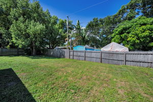 Backyard1